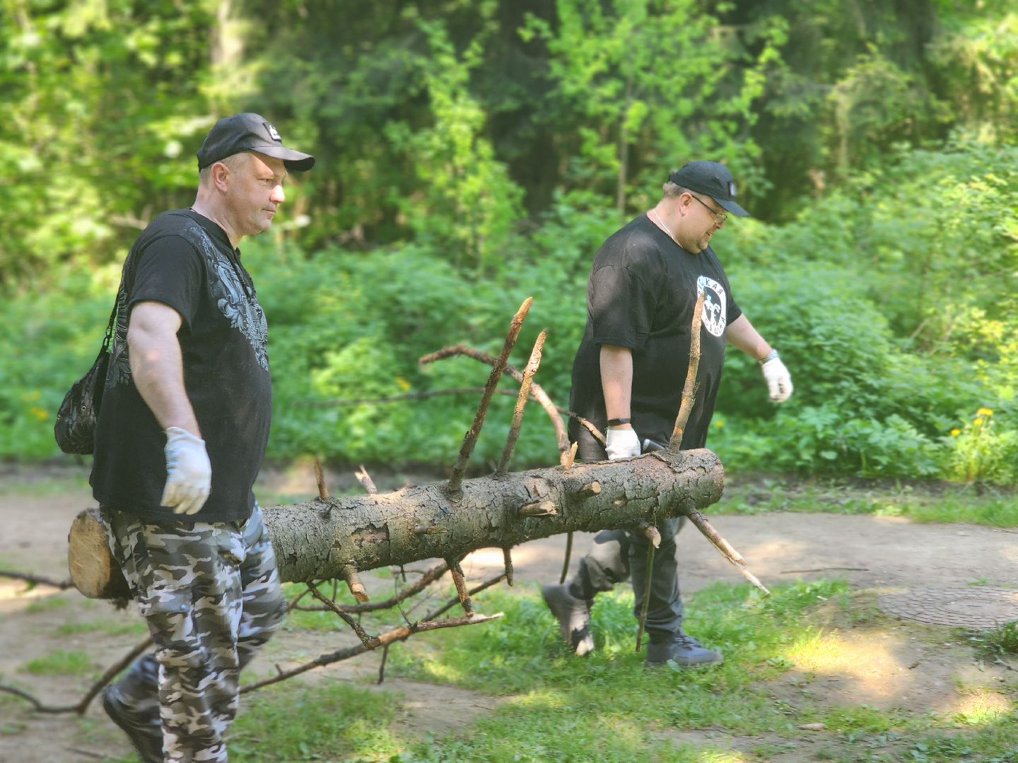 королёв, верхний комитетский лес, субботник в королеве,