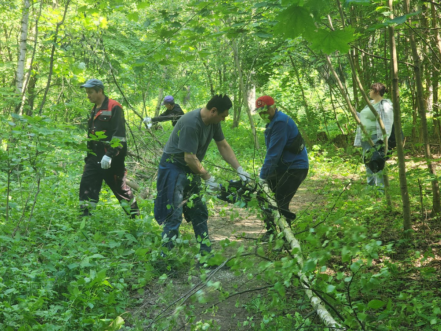 королёв, верхний комитетский лес, субботник в королеве,