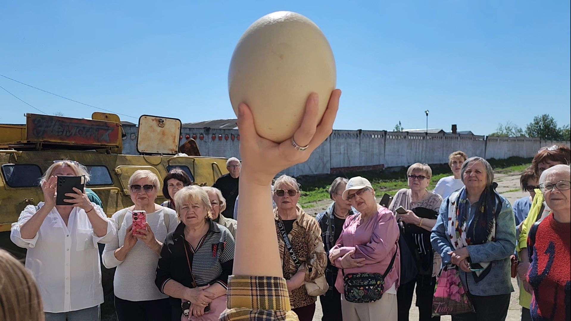 серпухов, подмосковье, страусы, московское долголетие, эму, русский страус,