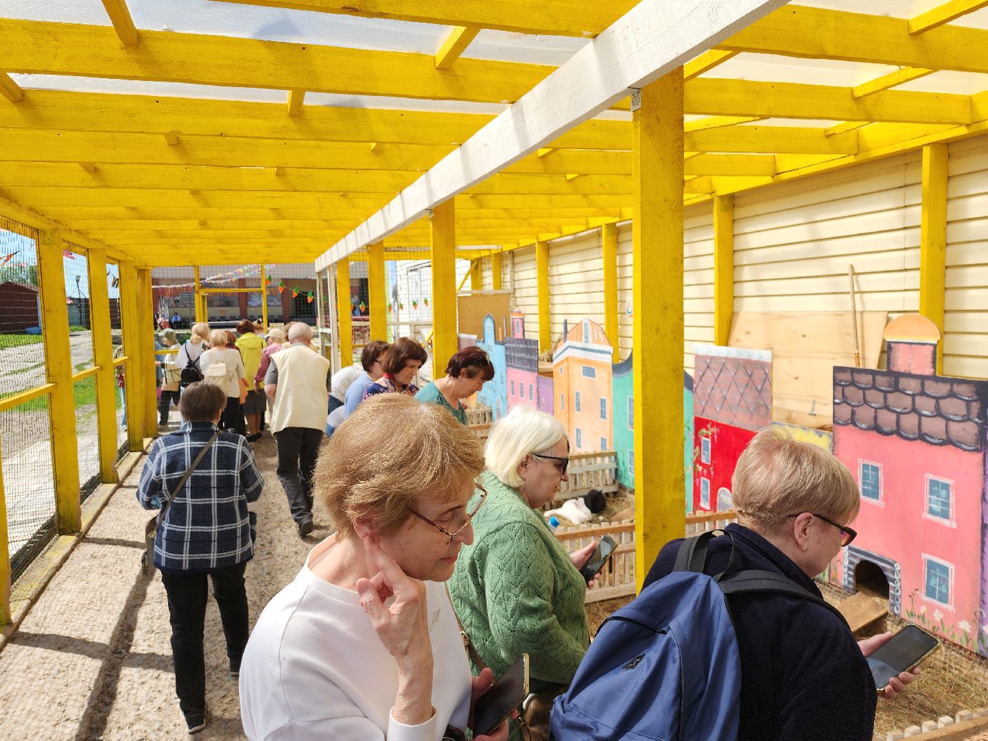 серпухов, подмосковье, страусы, московское долголетие, эму, русский страус,