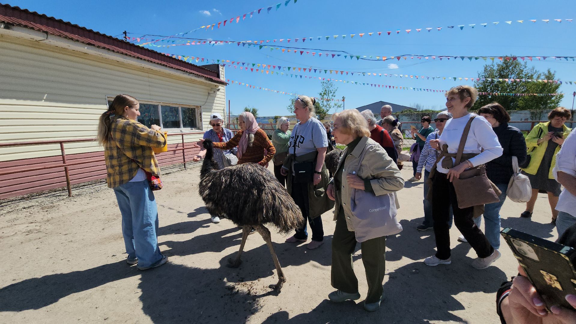 серпухов, подмосковье, страусы, московское долголетие, эму, русский страус,