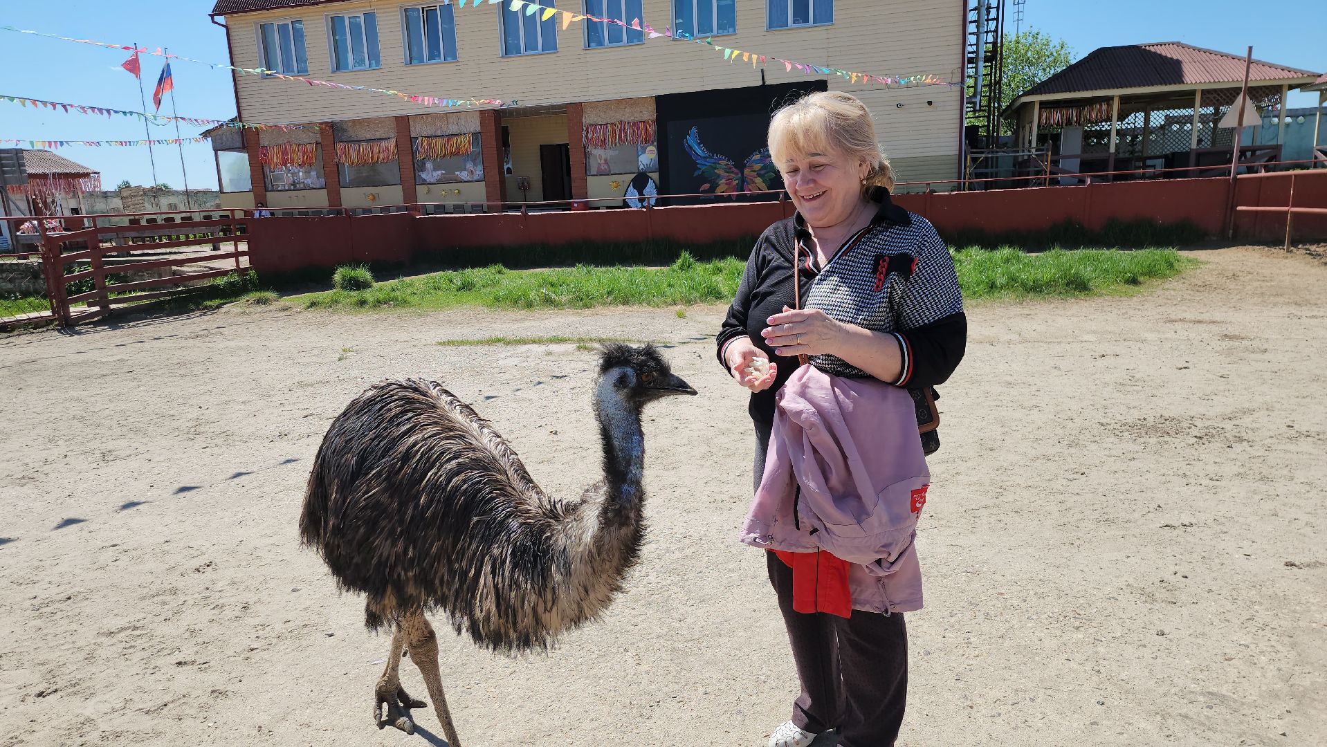 серпухов, подмосковье, страусы, московское долголетие, эму, русский страус,