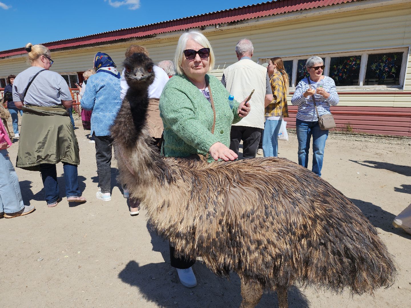 серпухов, подмосковье, страусы, московское долголетие, эму, русский страус,