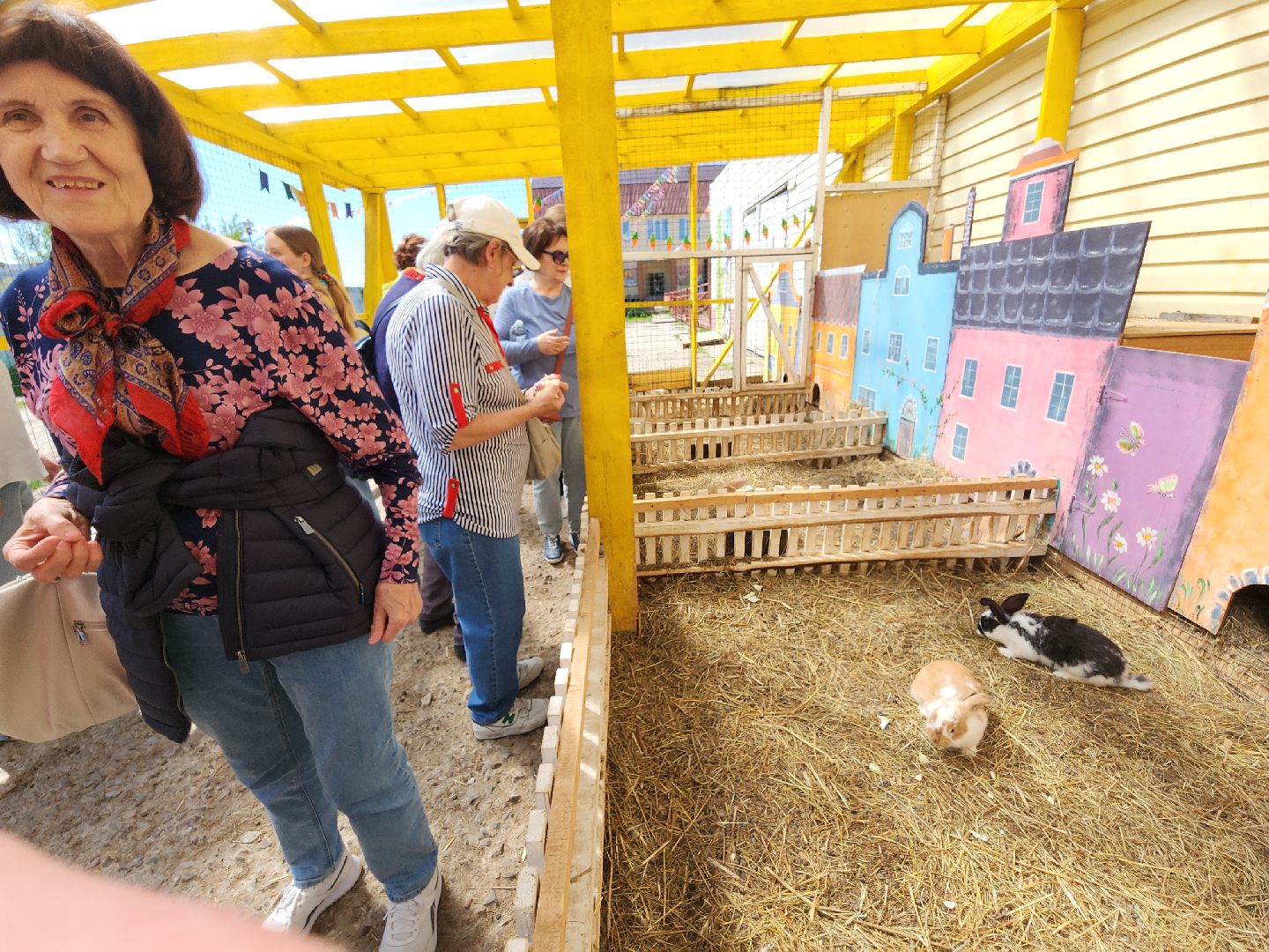 серпухов, подмосковье, страусы, московское долголетие, эму, русский страус,