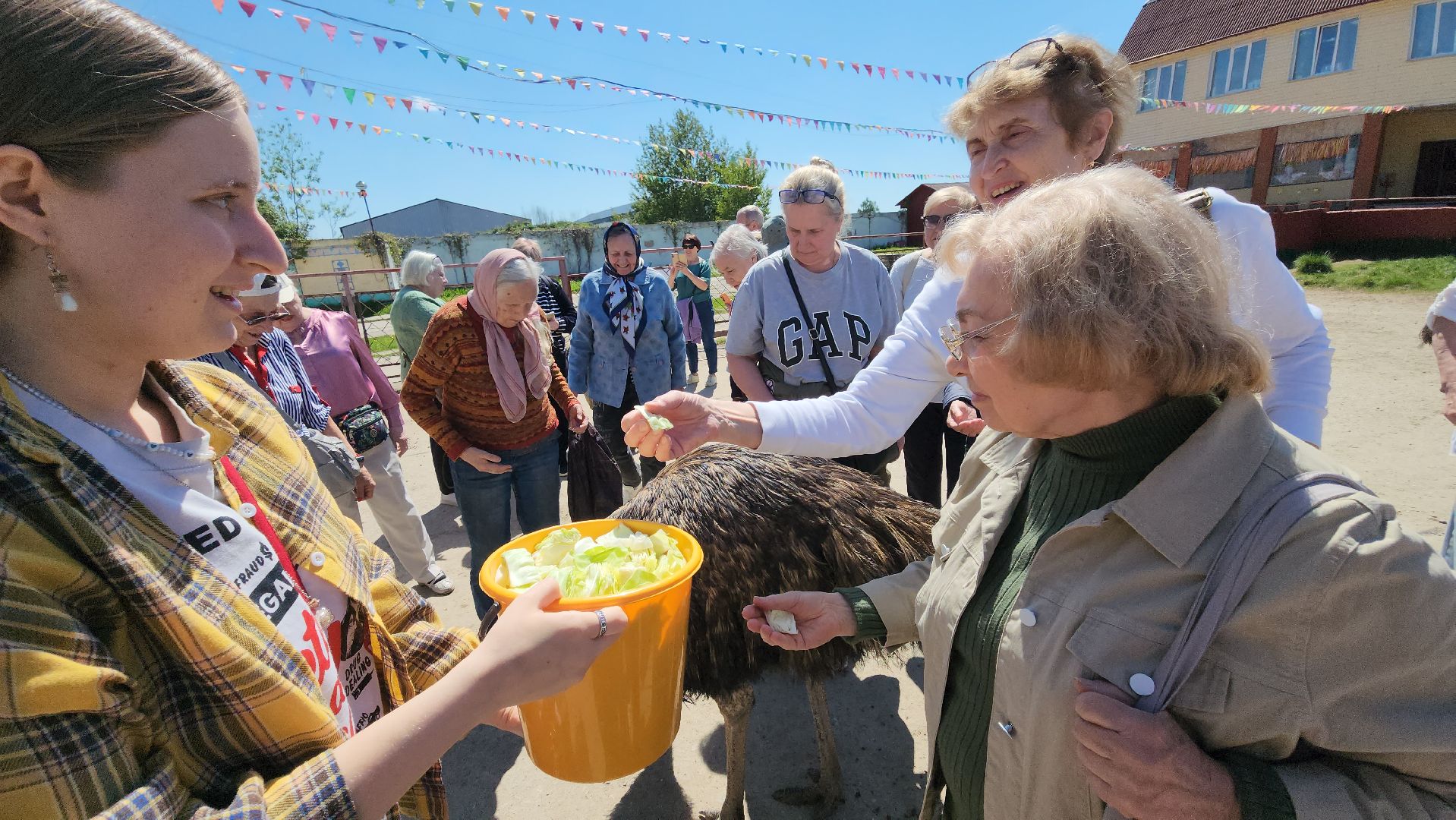 серпухов, подмосковье, страусы, московское долголетие, эму, русский страус,