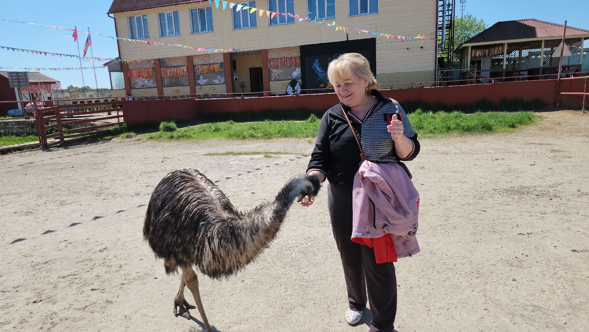 серпухов, подмосковье, страусы, московское долголетие, эму, русский страус,