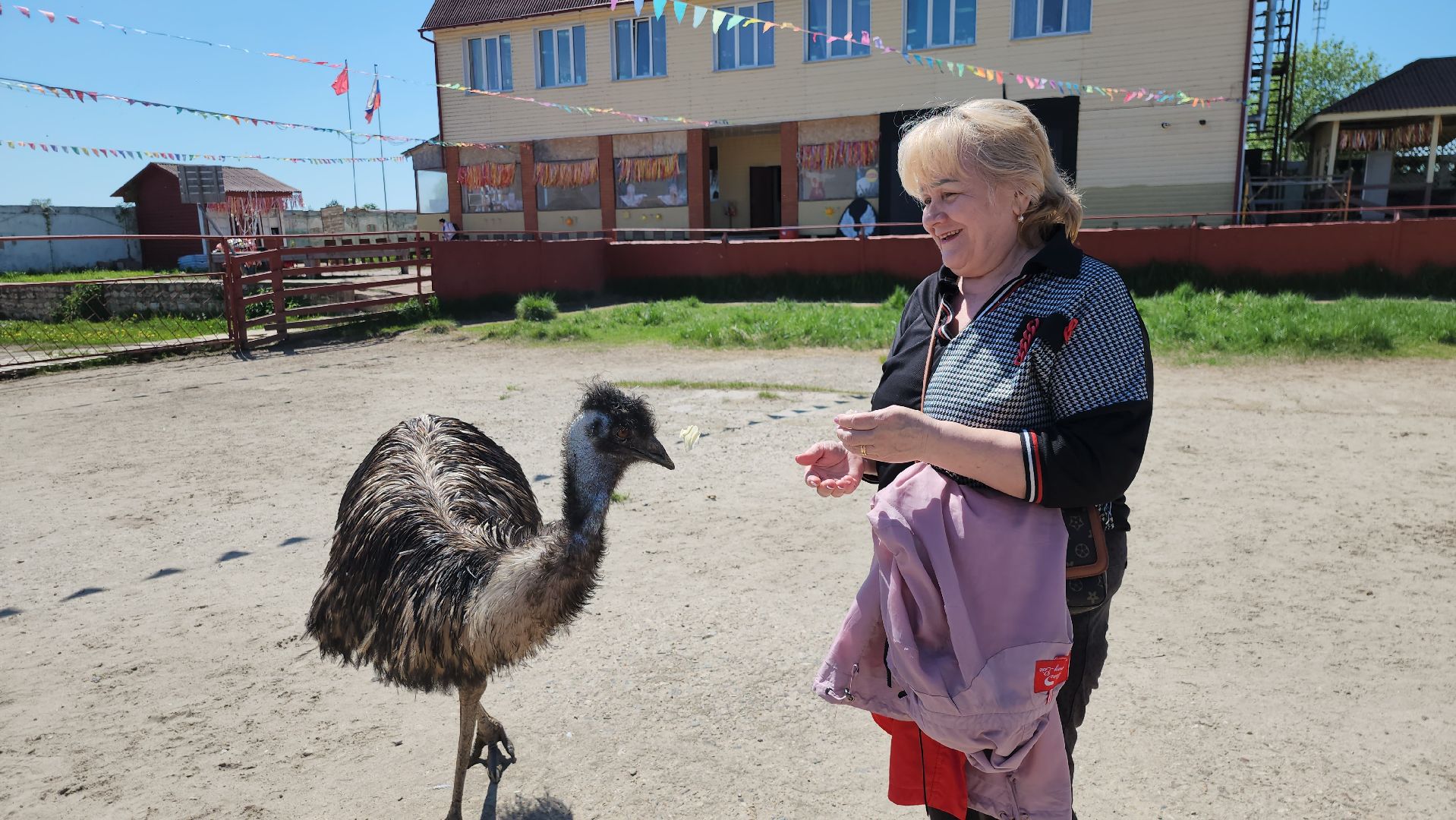 серпухов, подмосковье, страусы, московское долголетие, эму, русский страус,