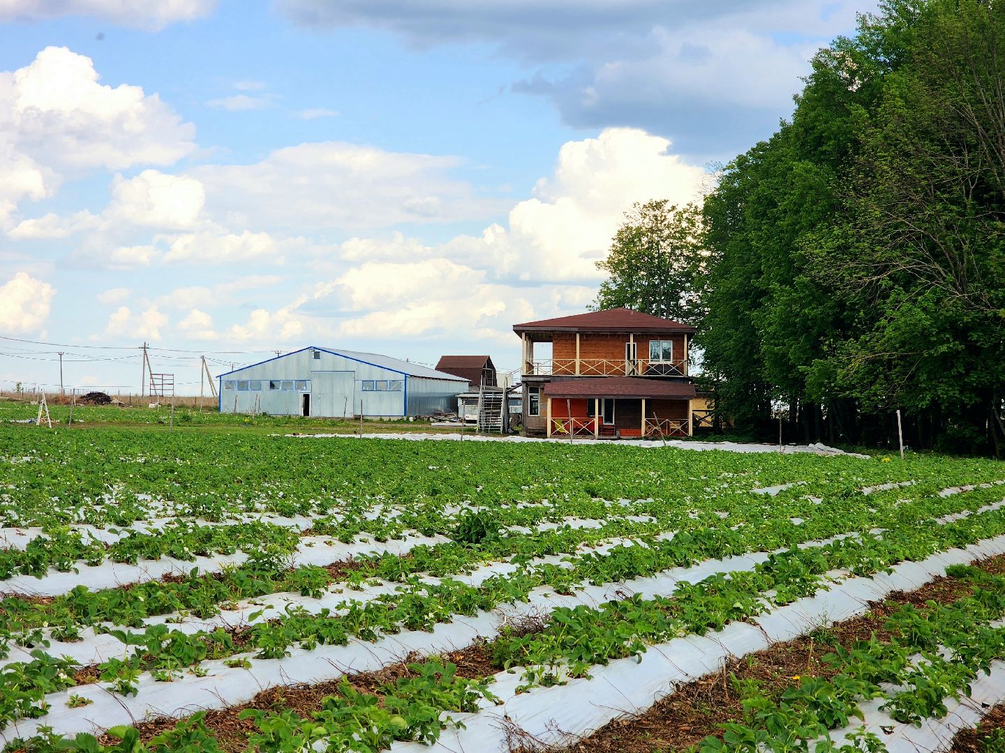 пущино, серпухов, агротуризм, фермеры,