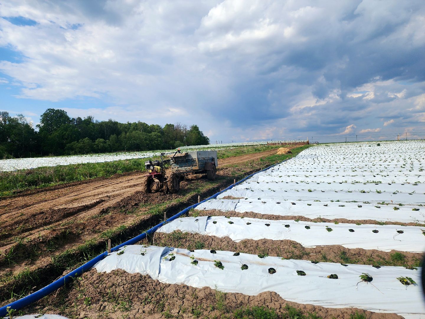 пущино, серпухов, агротуризм, фермеры,