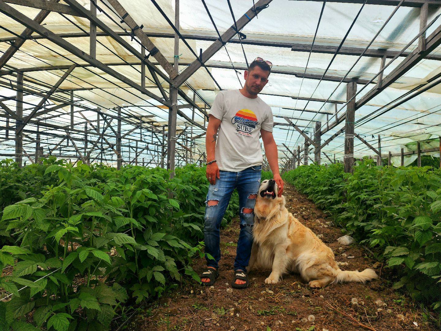 пущино, серпухов, агротуризм, фермеры,