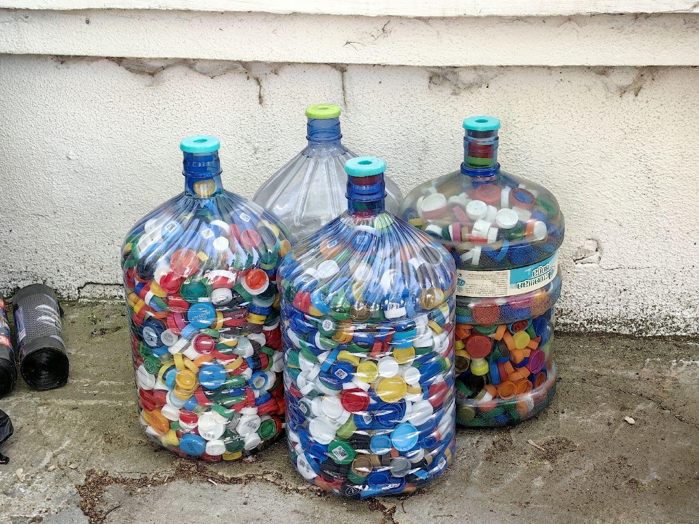 экология, сбор, отходы, среда роста,