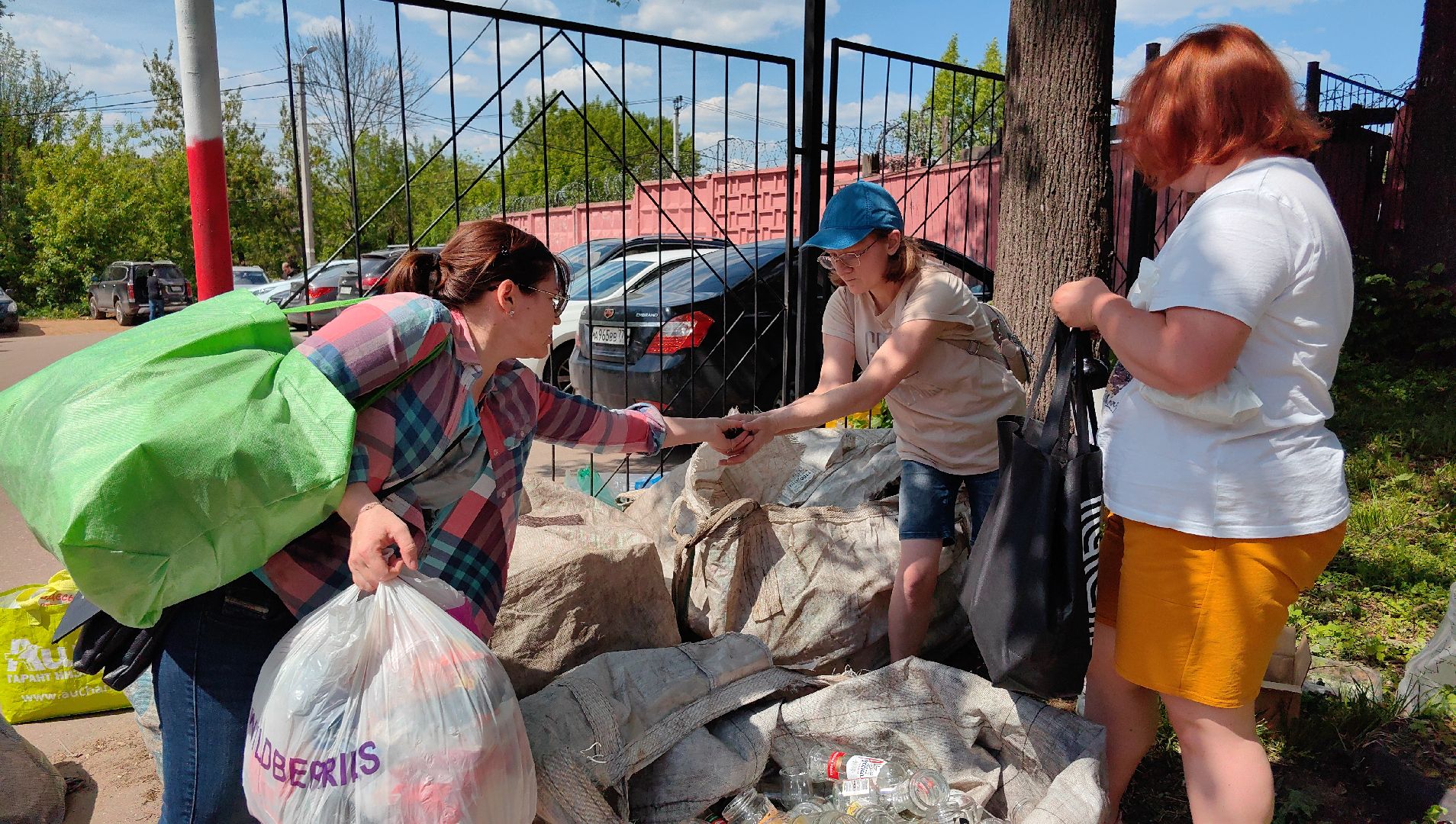 экология, сбор, отходы, среда роста,