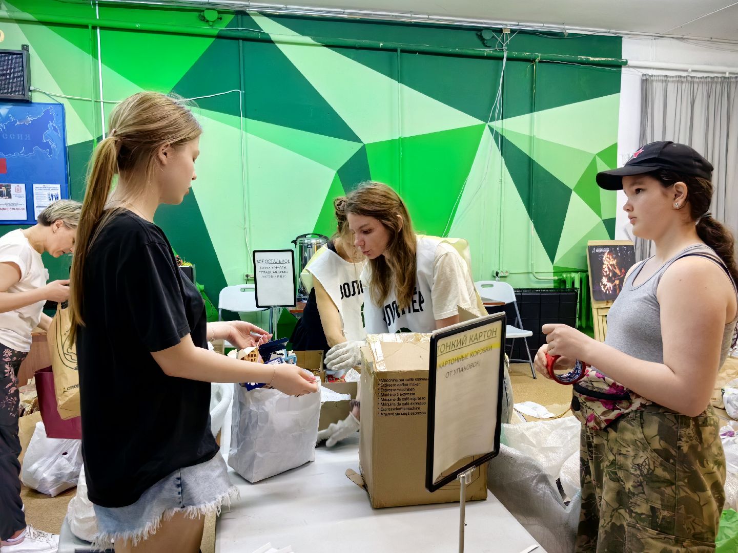 экология, сбор, отходы, среда роста,