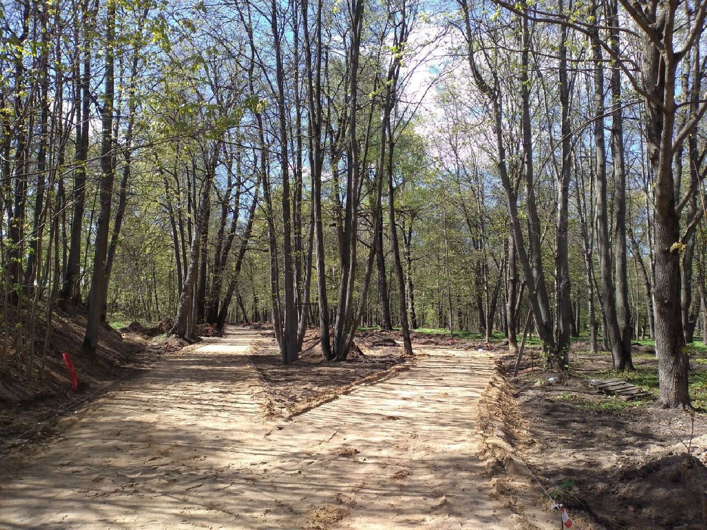 парк, благоустройство, нацпроект, Лосино-Петровский