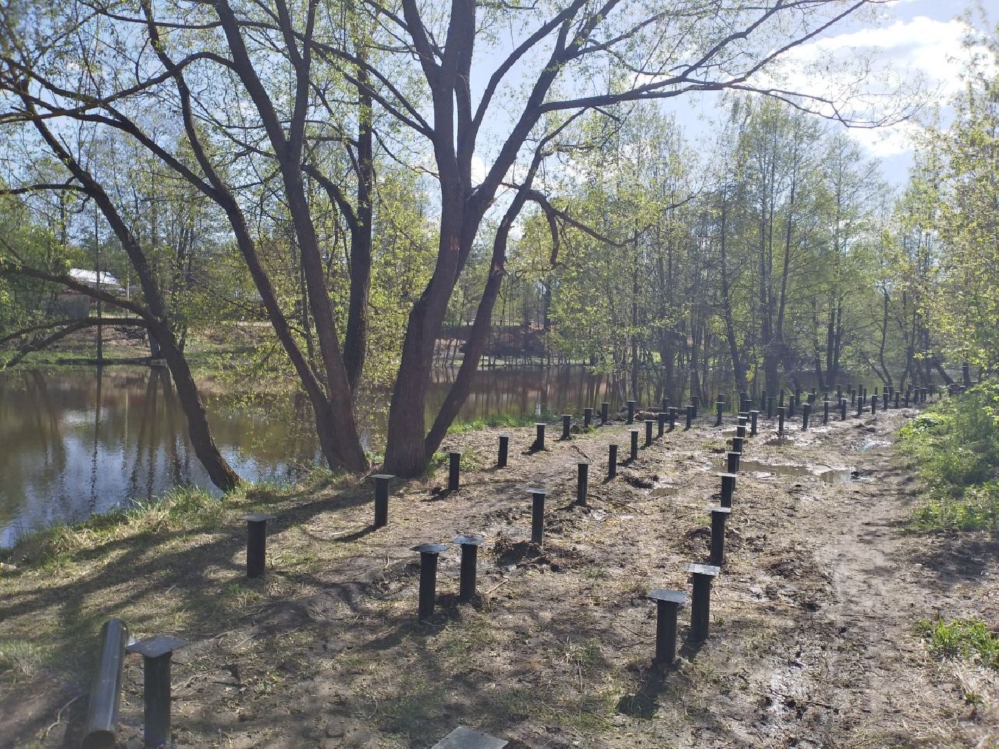 парк, благоустройство, нацпроект, Лосино-Петровский