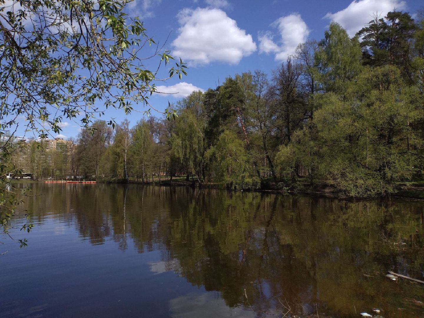 парк, благоустройство, нацпроект, Лосино-Петровский