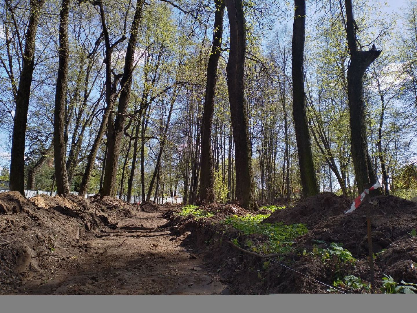 парк, благоустройство, нацпроект, Лосино-Петровский