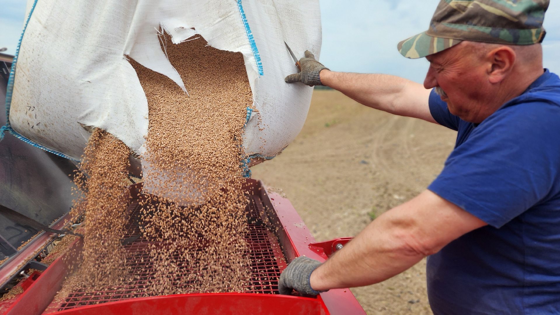 волоколамск, посевная 2025,
