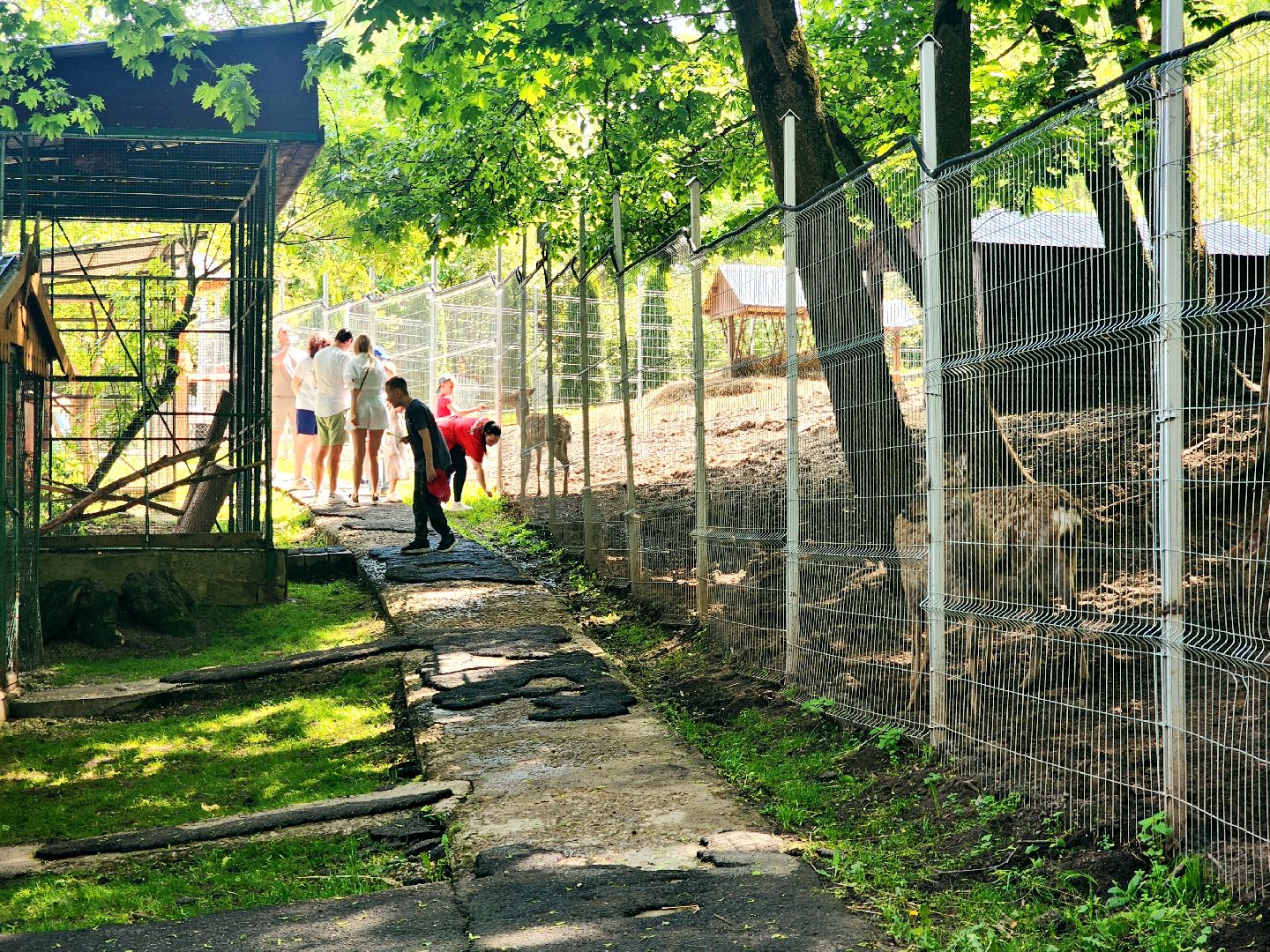 пущино, серпухов, лето в подмосковье, туризм в подмосковье,