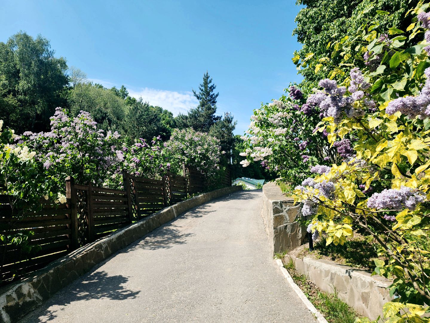 пущино, серпухов, лето в подмосковье, туризм в подмосковье,