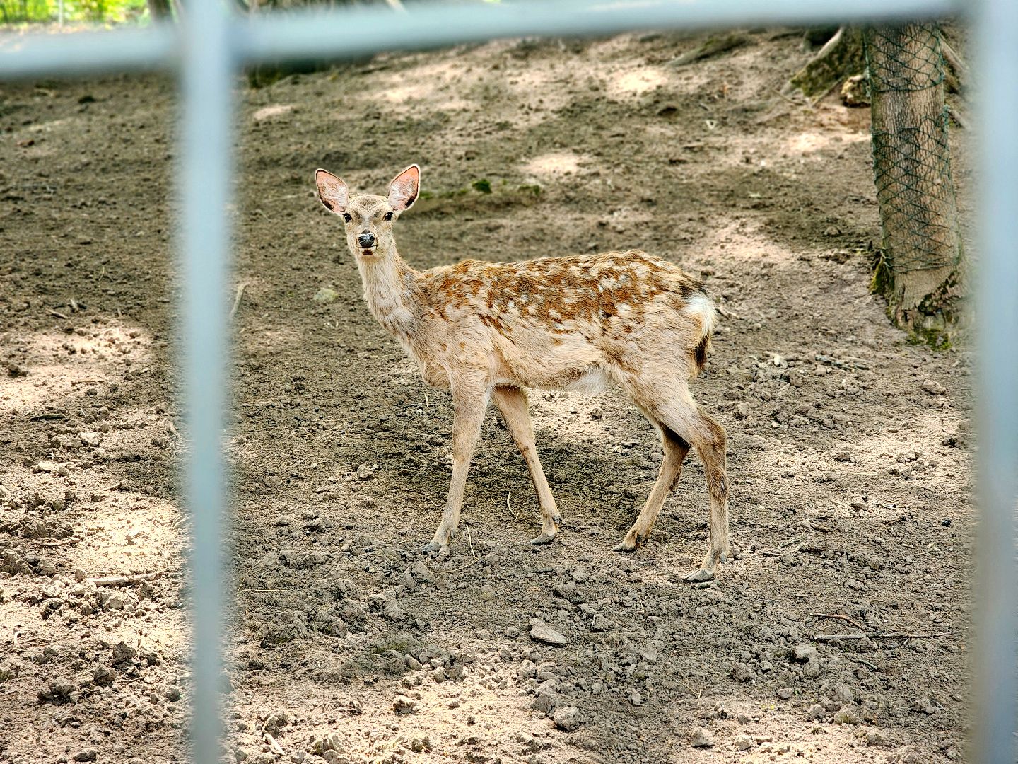 пущино, серпухов, лето в подмосковье, туризм в подмосковье,