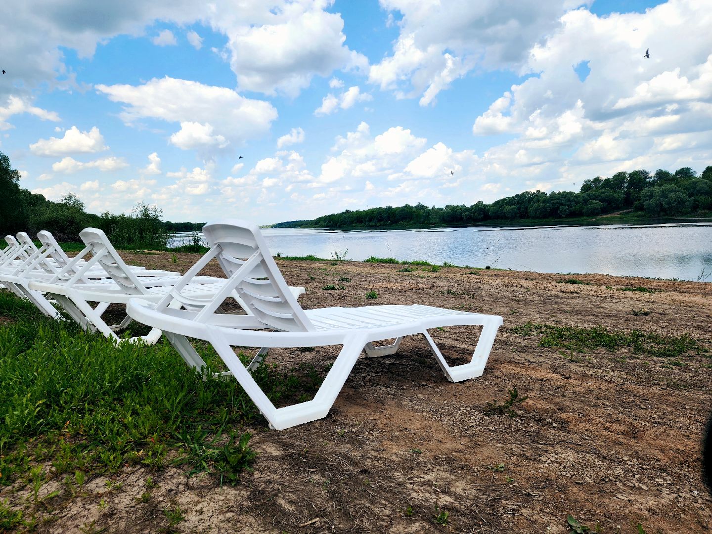 пущино, серпухов, лето в подмосковье, туризм в подмосковье,