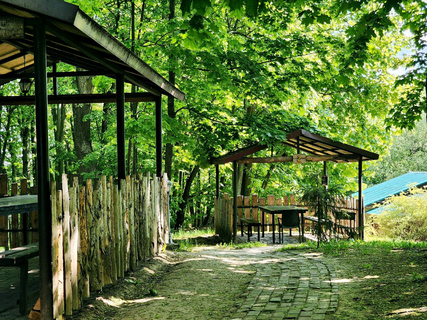 пущино, серпухов, лето в подмосковье, туризм в подмосковье,