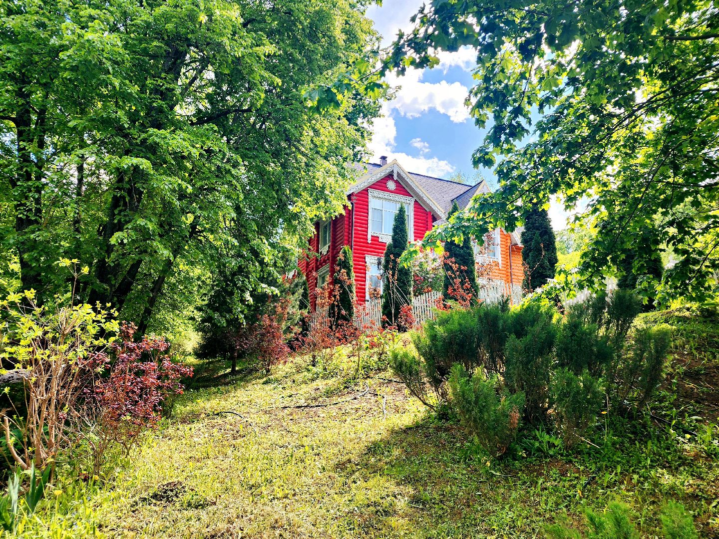 пущино, серпухов, лето в подмосковье, туризм в подмосковье,