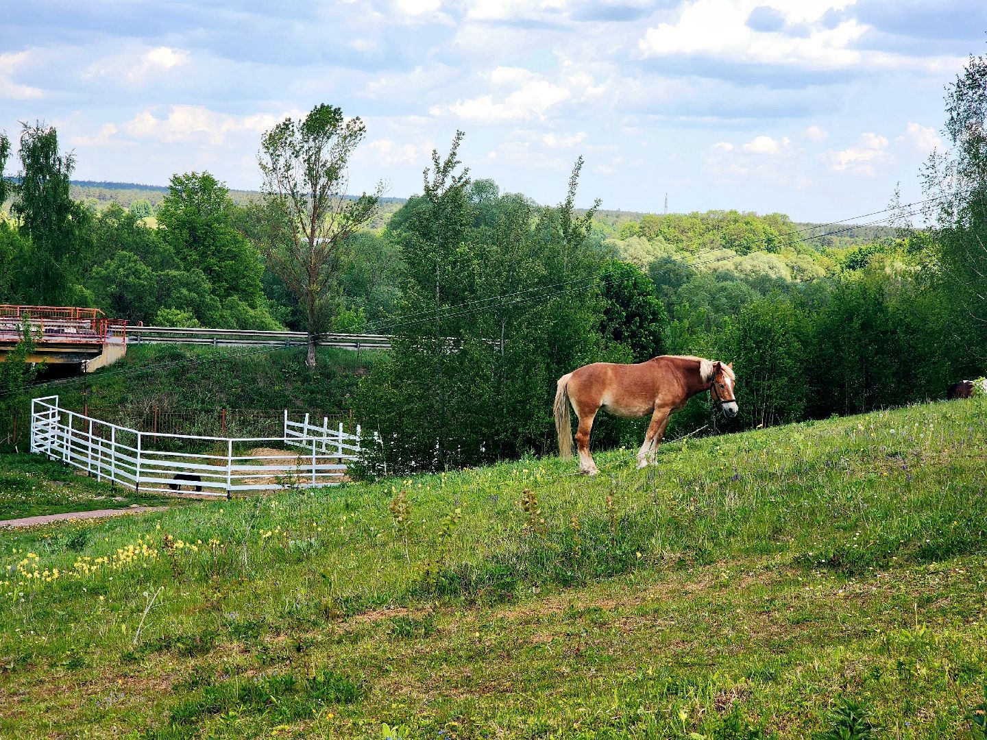 пущино, серпухов, лето в подмосковье, туризм в подмосковье,