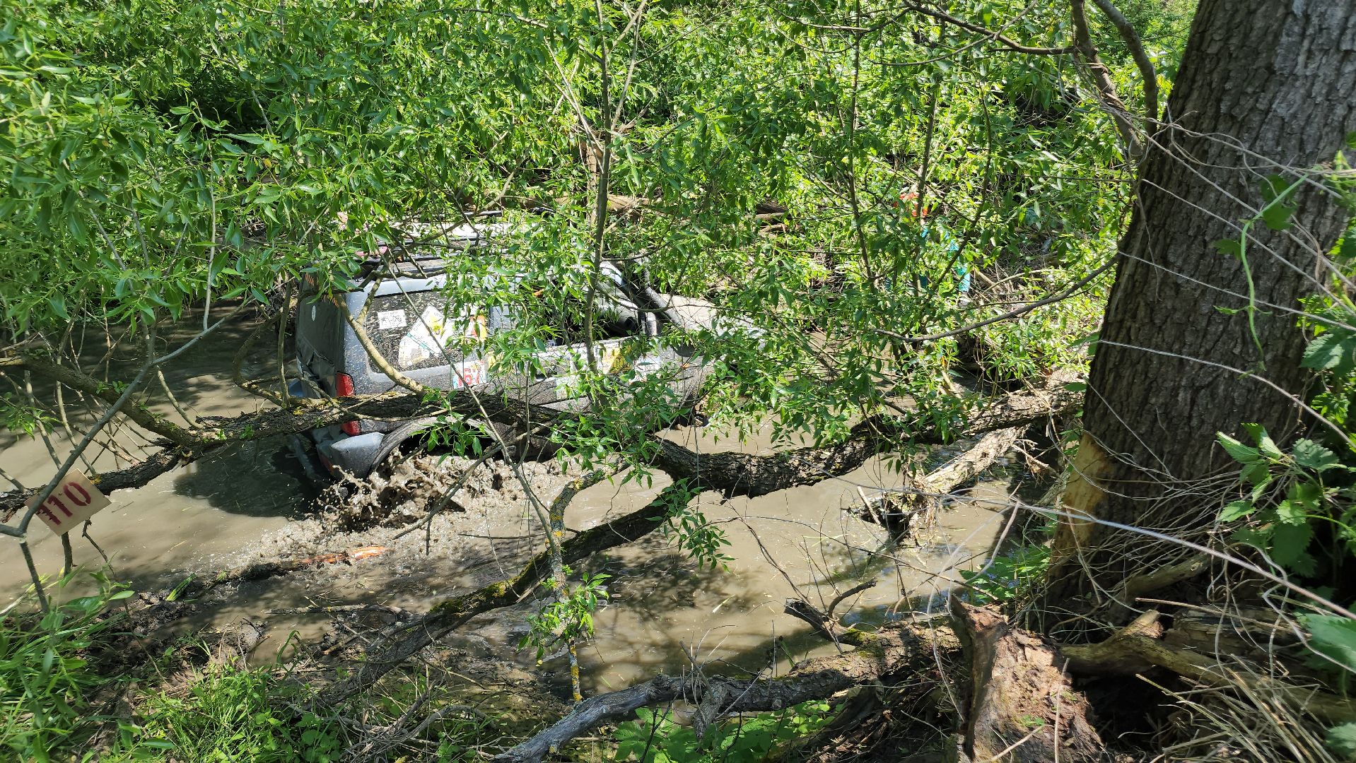 ступино, спорт, автоспорт,