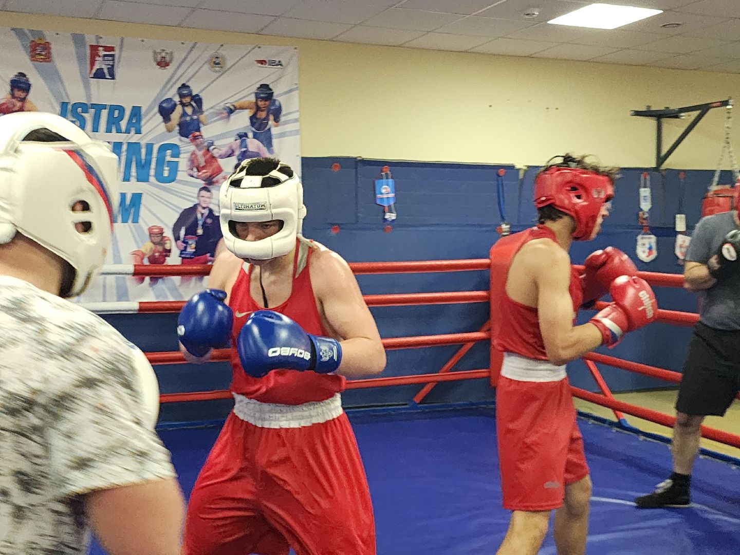 Истра, Бокс, Спорт,