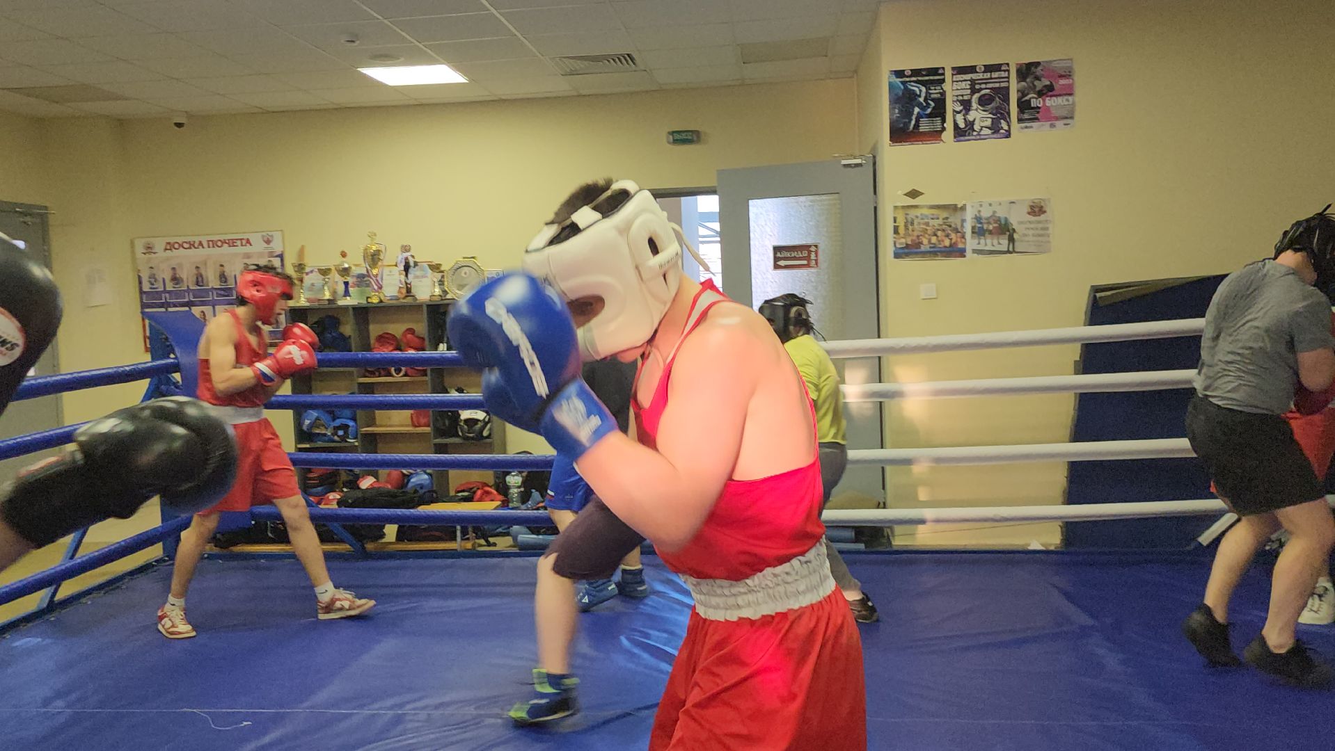 Истра, Бокс, Спорт,