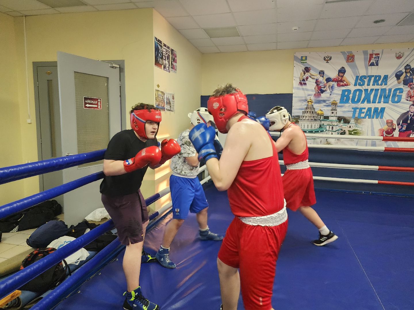 Истра, Бокс, Спорт,