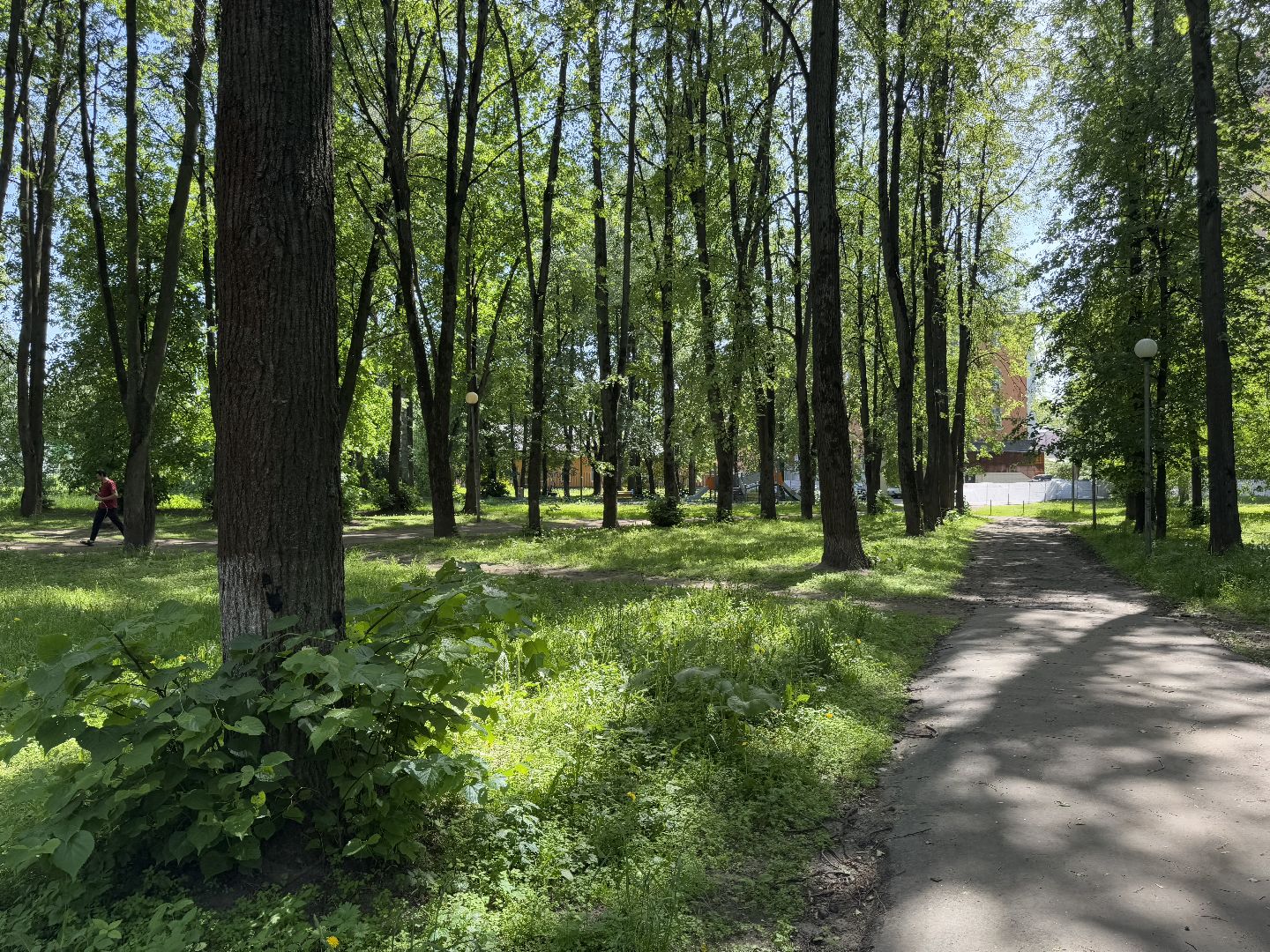 сквер по улице крупешина, благоустройство, балашиха,