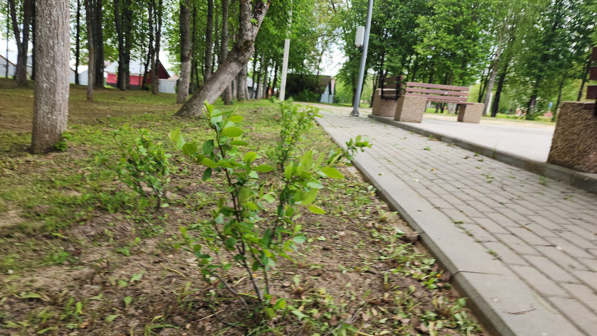 волоколамск, теряево, спасс, осташево, болычево, ярополец, нелидово, благоустройство, формирование комфортной городской среды,