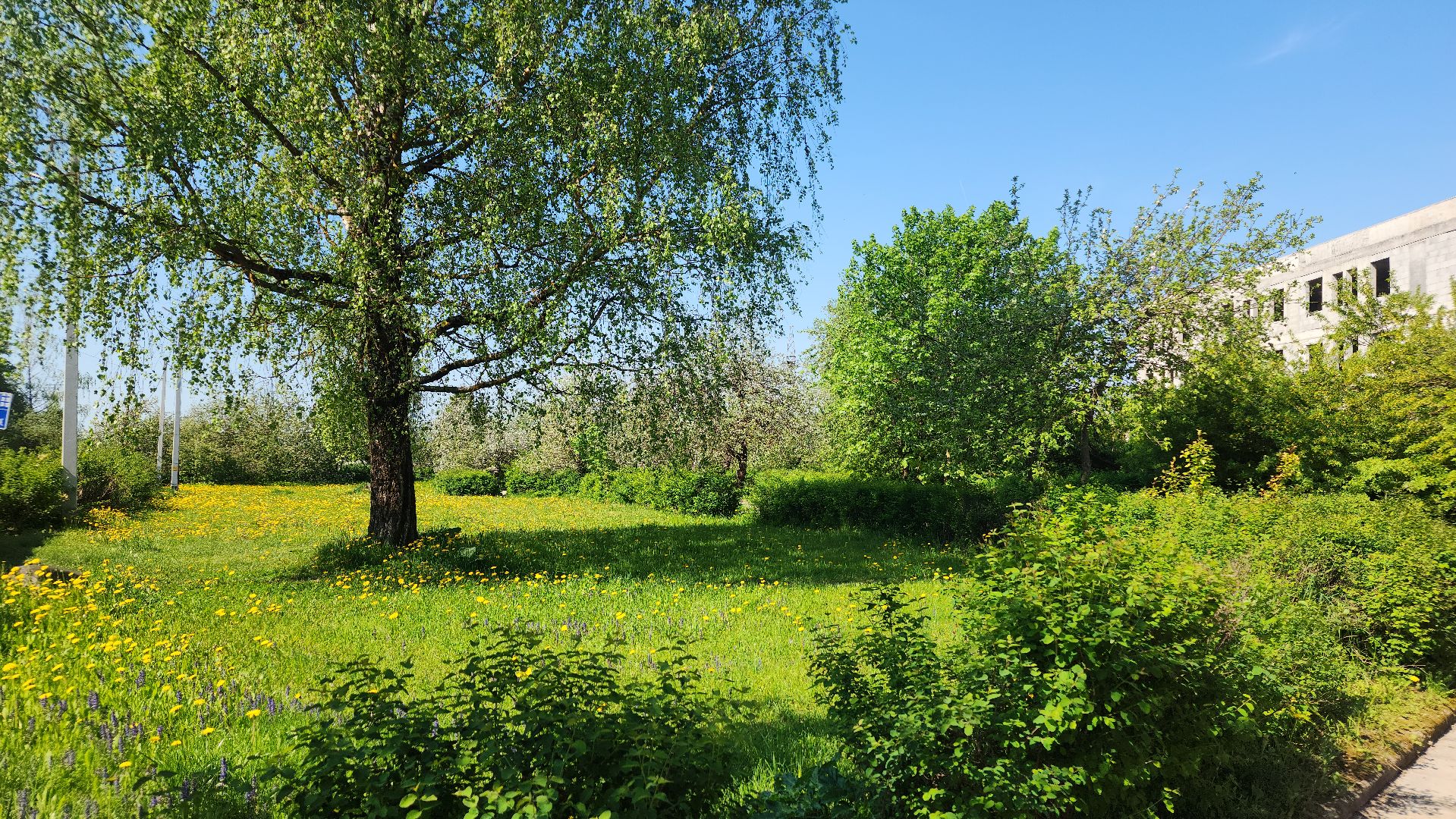 волоколамск, теряево, спасс, осташево, болычево, ярополец, нелидово, благоустройство, формирование комфортной городской среды,
