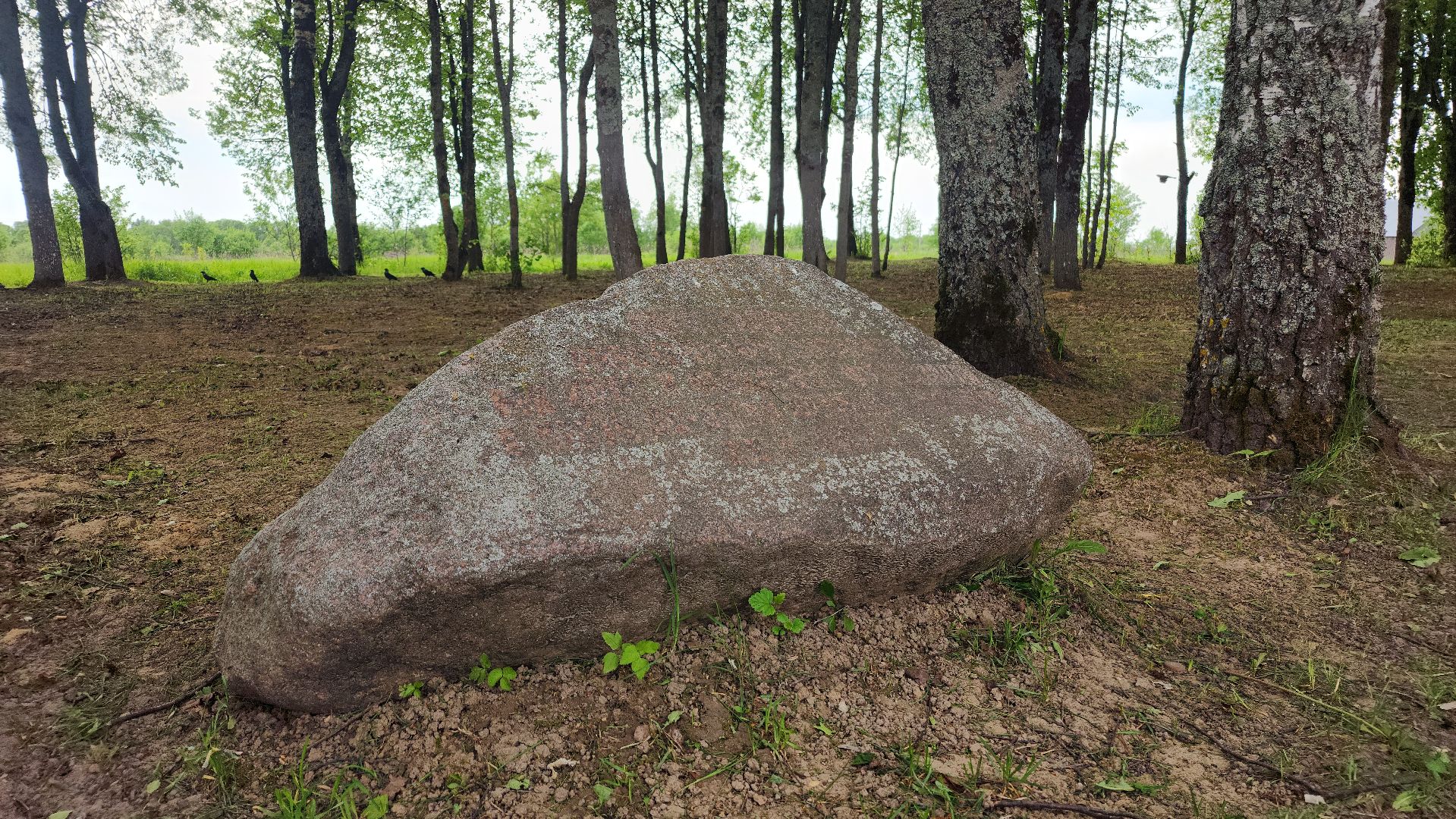волоколамск, теряево, спасс, осташево, болычево, ярополец, нелидово, благоустройство, формирование комфортной городской среды,