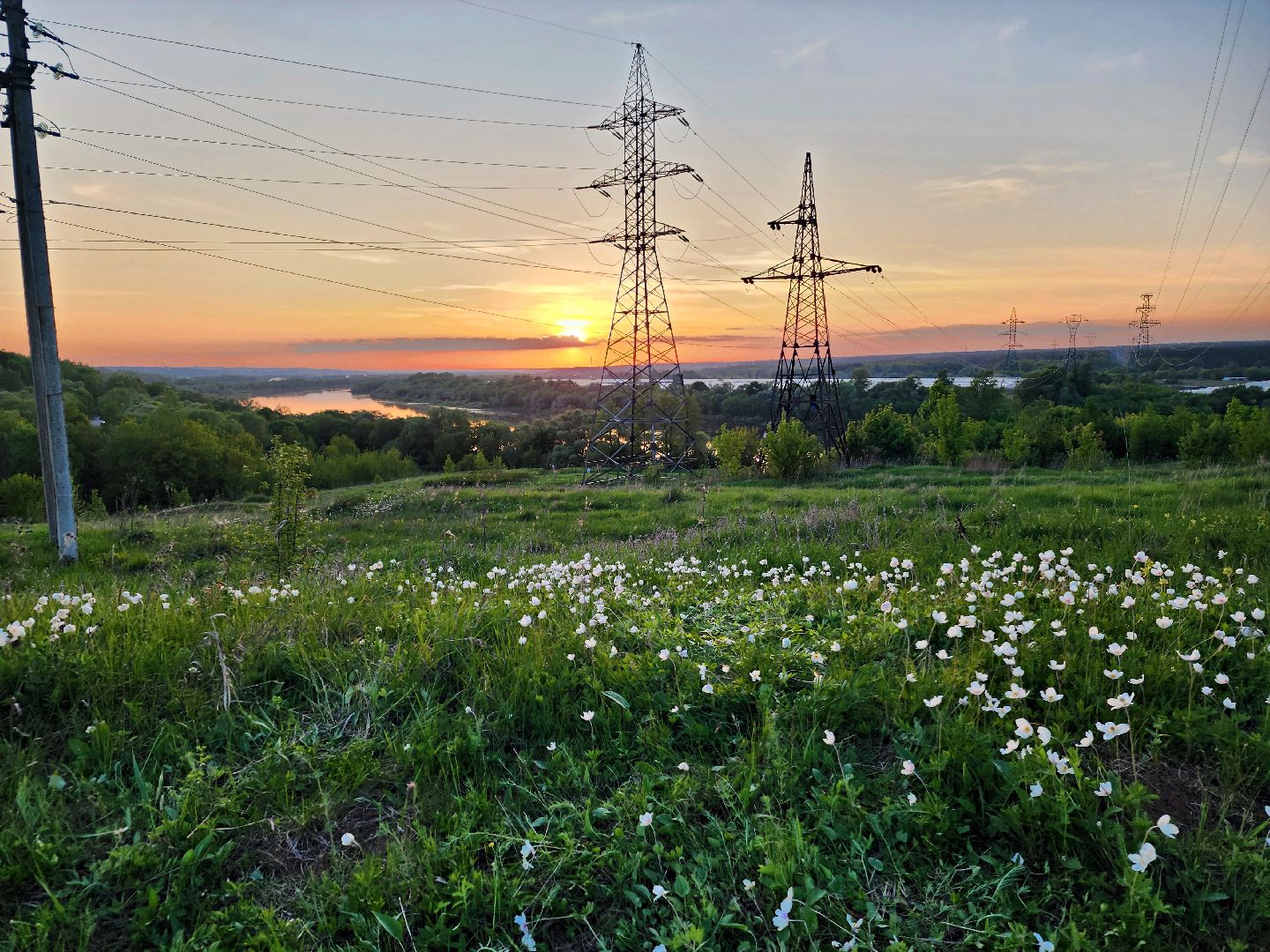 пущино, экология, туризм, лето в подмосковье, серпухов,