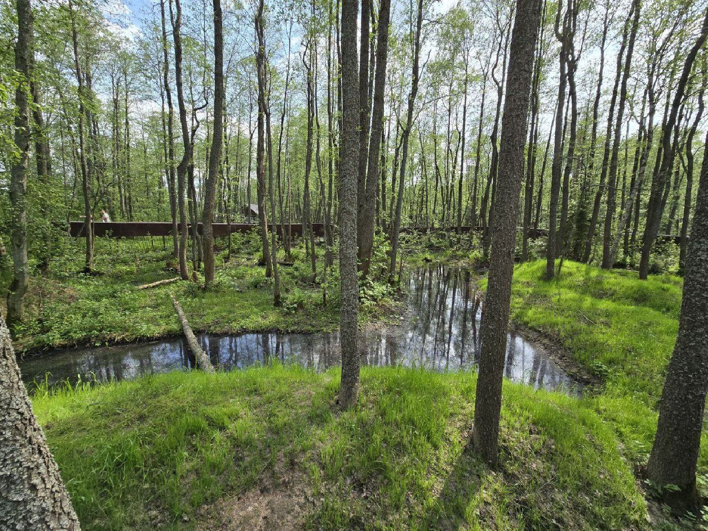 можайск, можайский муниципальный округ, подмосковье, сафари-парк, парк выдр, туризм,