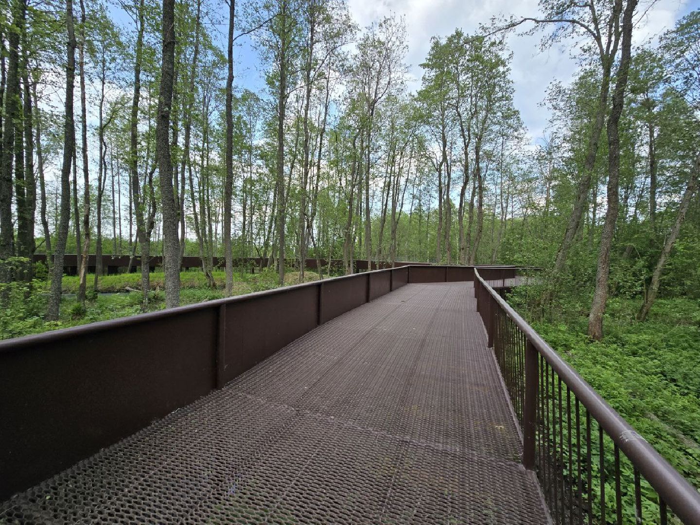 можайск, можайский муниципальный округ, подмосковье, сафари-парк, парк выдр, туризм,