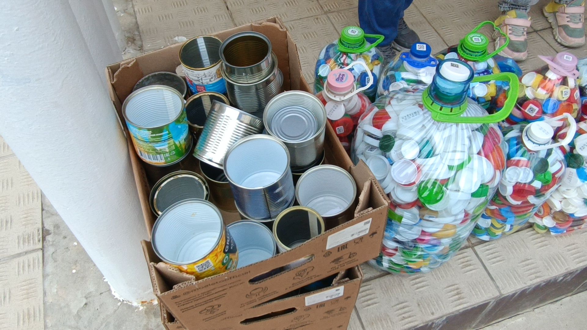 посадка деревьев, лобня, дети,