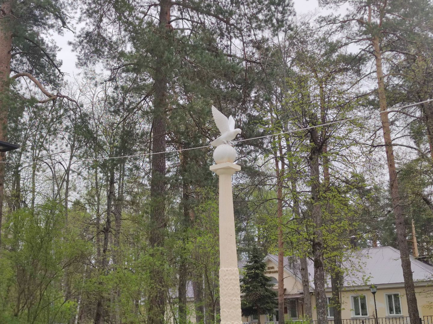 фонтан, благоустройство, включение фонтана, Дубна