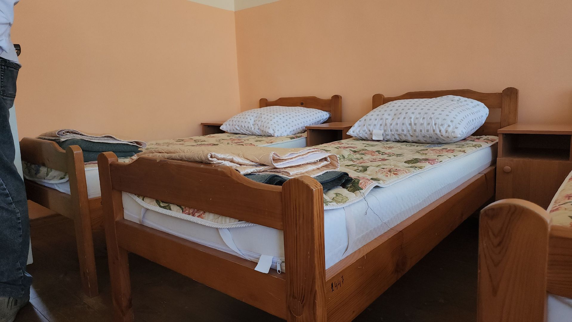 Егорьевск, Лагерь, Подмосковье, Московская область,