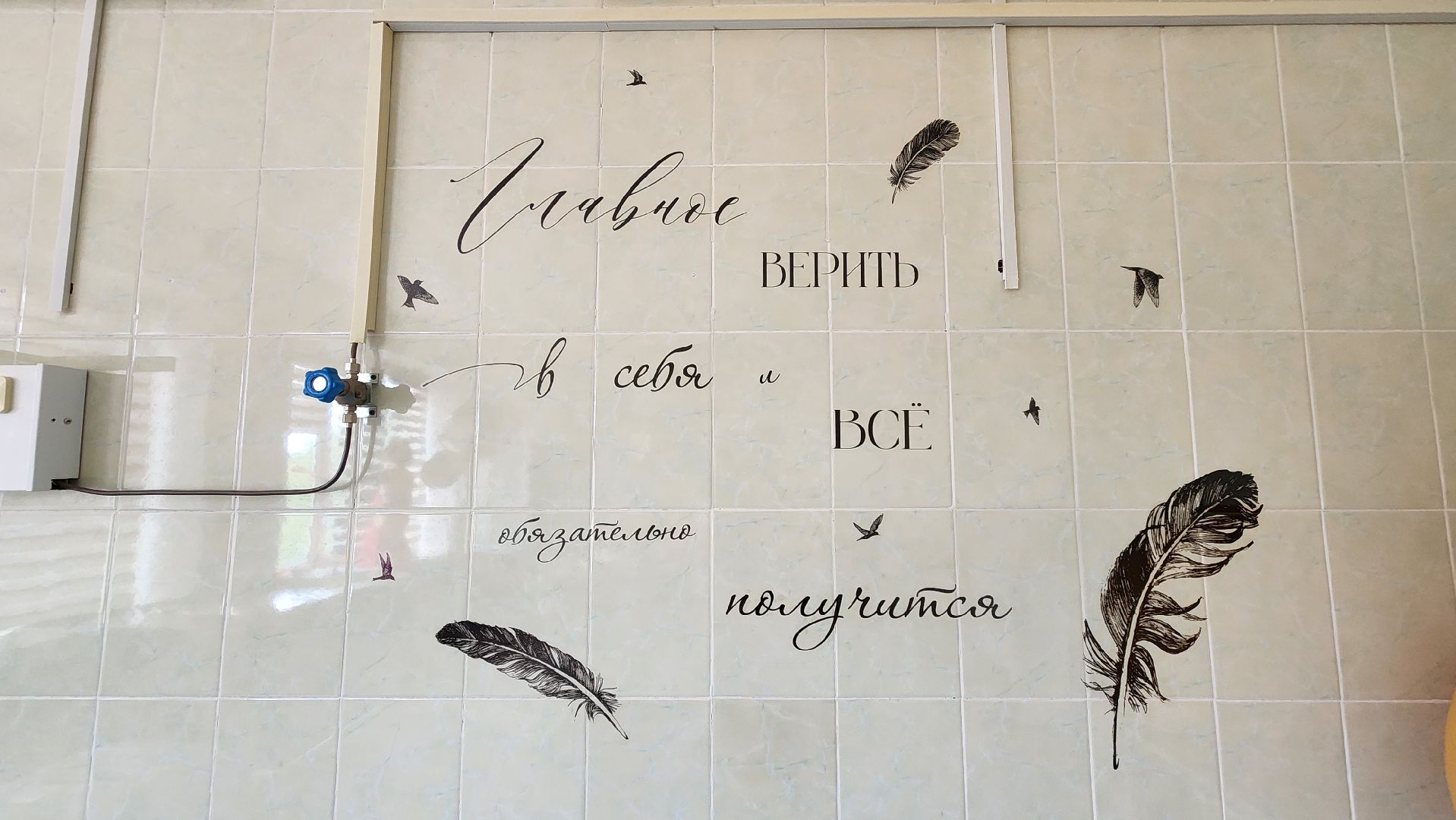 солнечногорск, медицина, роддом, кандидат медицинских наук,