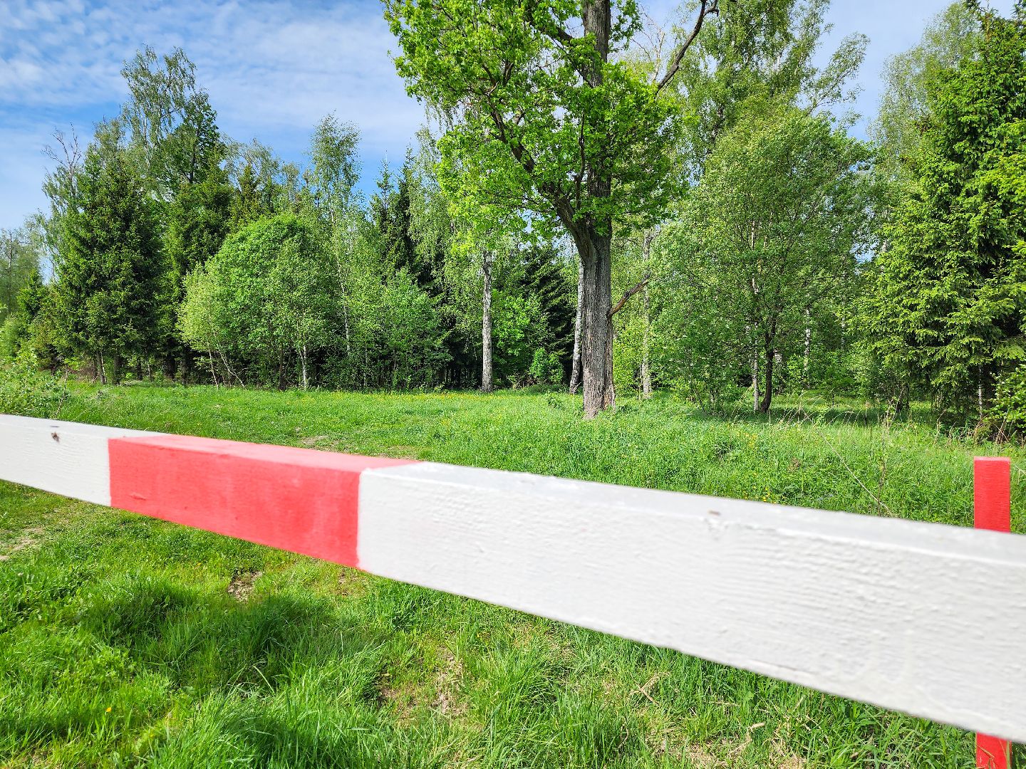 Подольск, Лес, Лесничество,