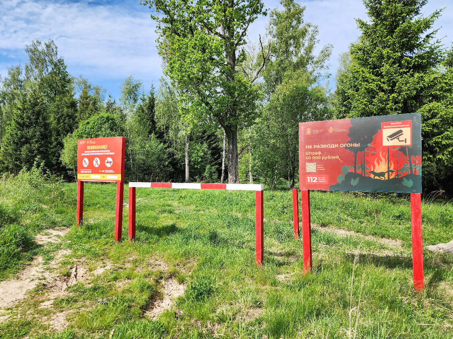 Подольск, Лес, Лесничество,