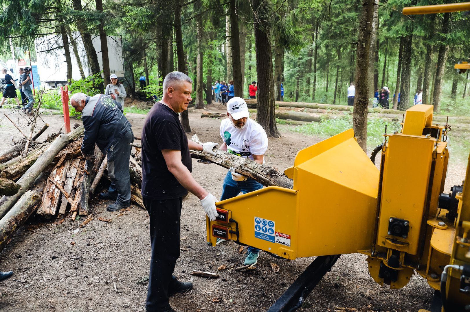 экоакция, лес, мусор,