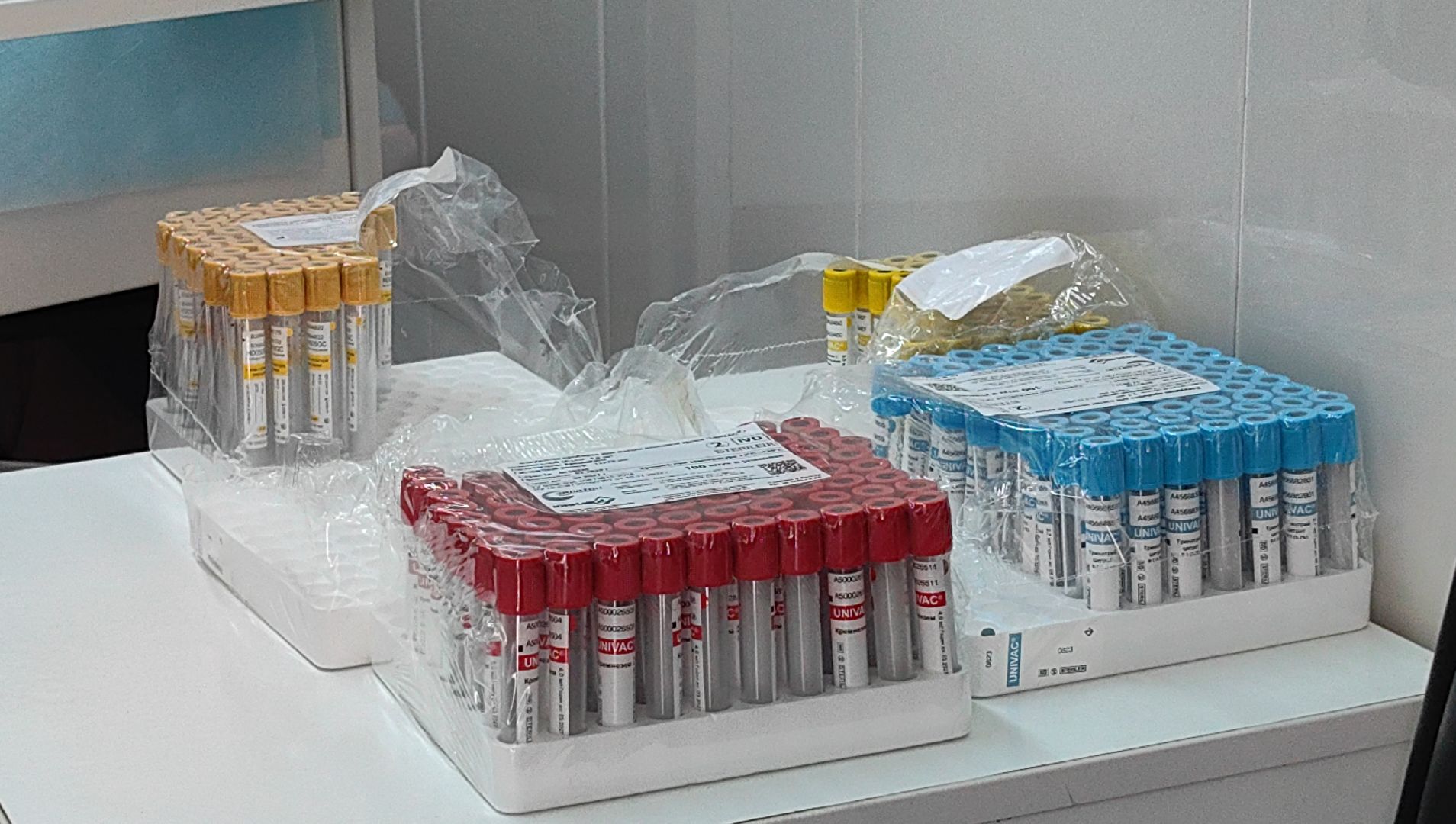 диспансеризация, анализы, ЭКГ, давление, СНИЛС,