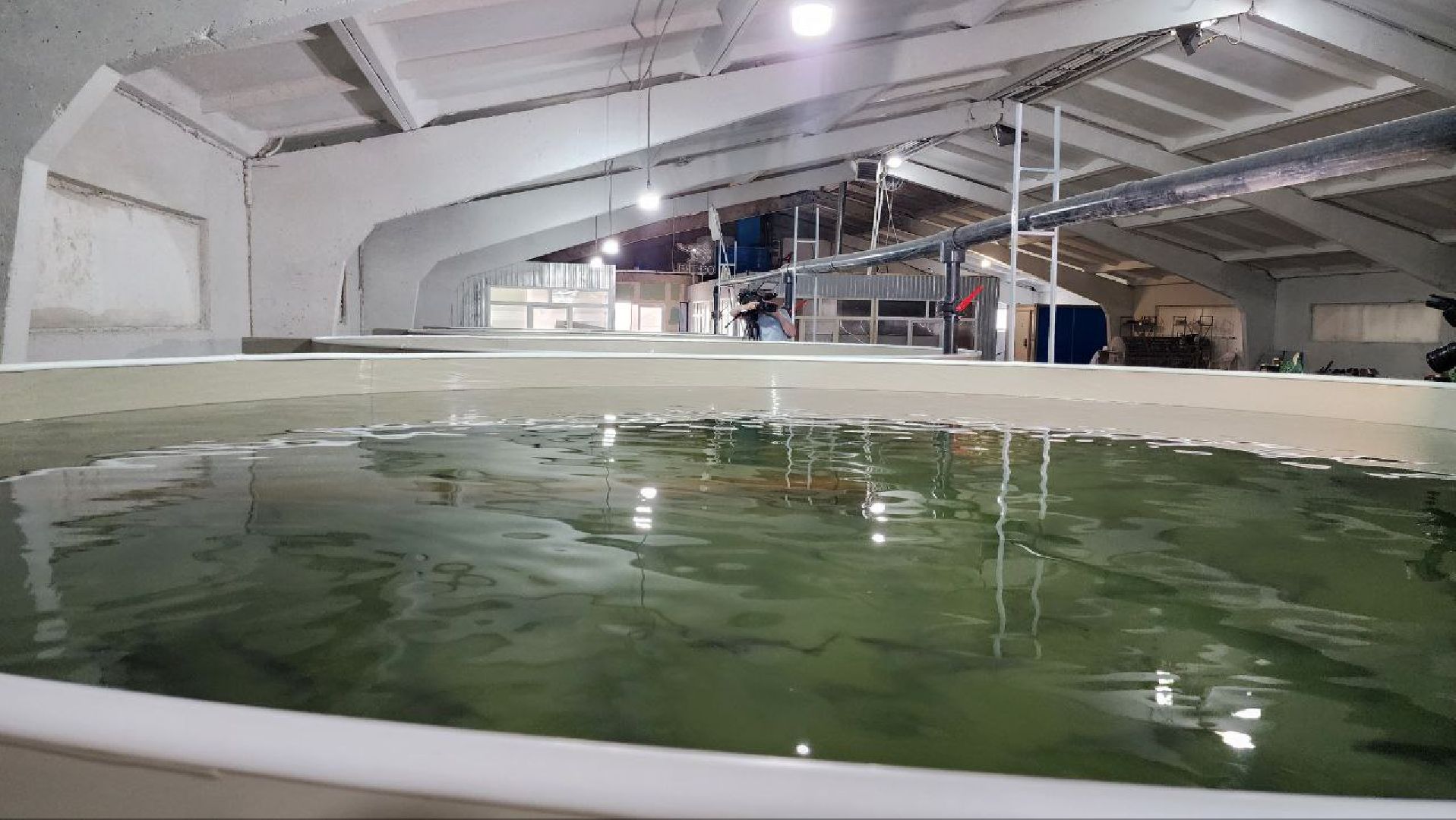 Луховицы #Подмосковье #Аквакультура #Осетр , СельскоеХозяйствоПодмосковья #НовыеРабочиеМеста #АгроТуризм,