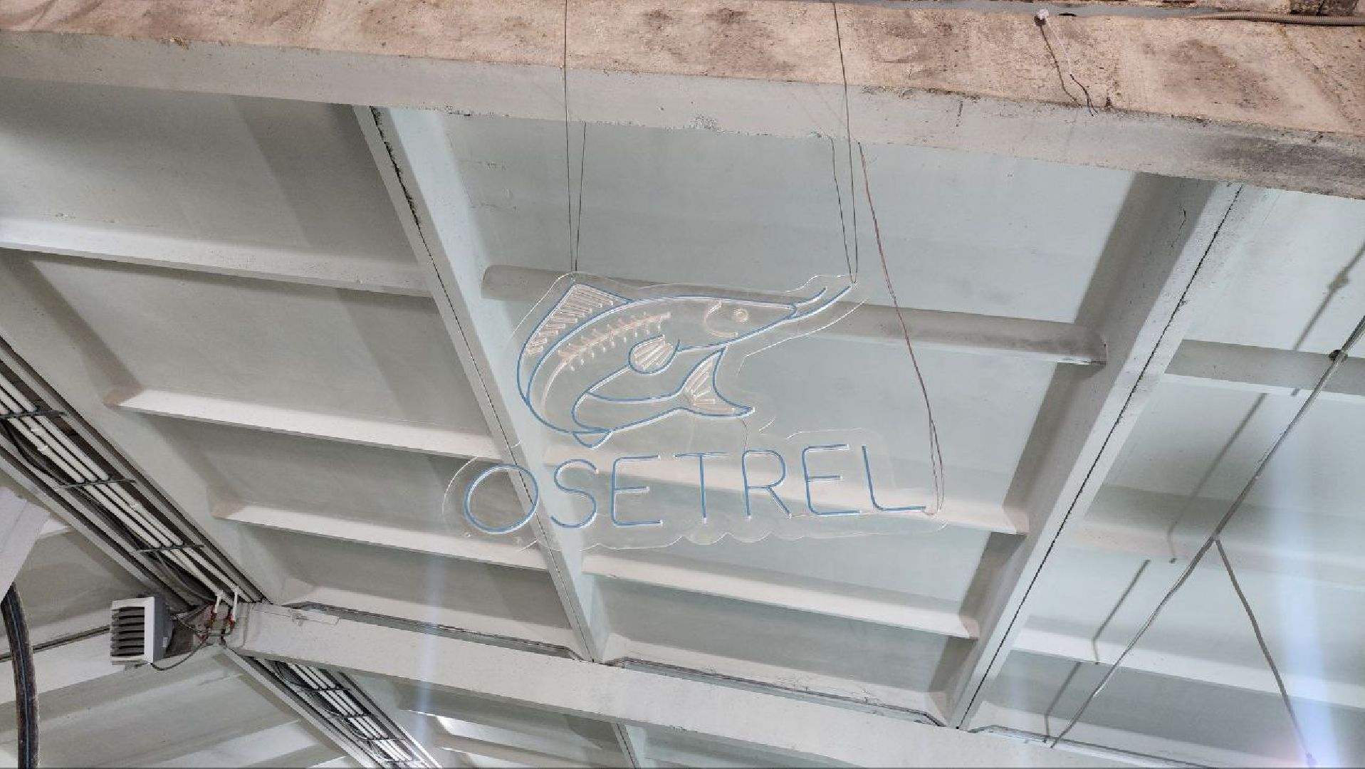 Луховицы #Подмосковье #Аквакультура #Осетр , СельскоеХозяйствоПодмосковья #НовыеРабочиеМеста #АгроТуризм,